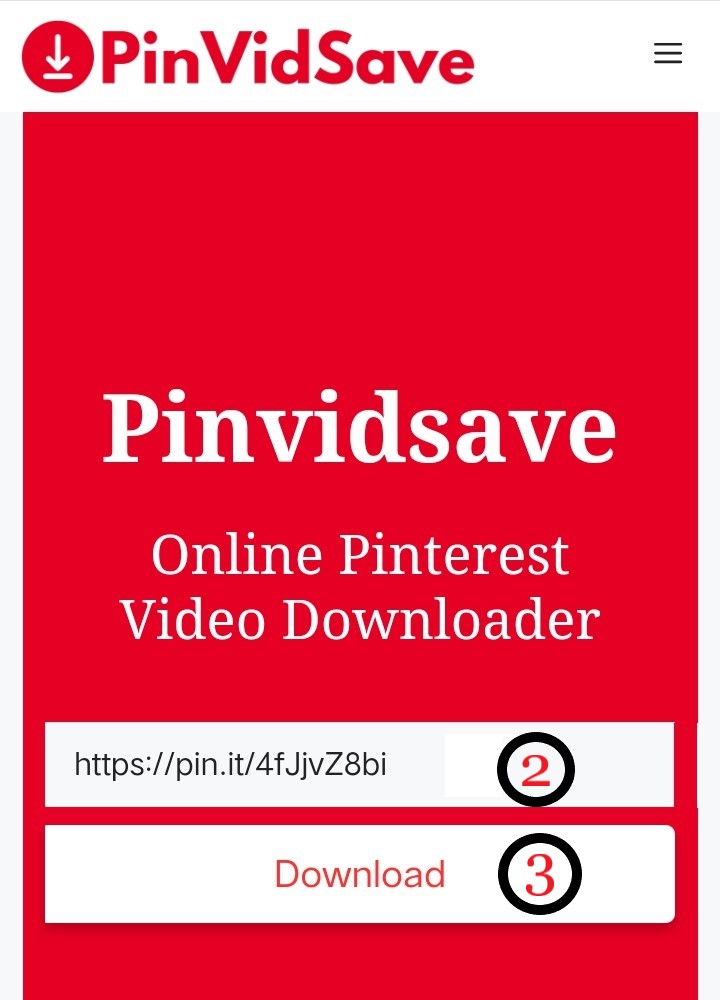 Pinterest Video Downloader